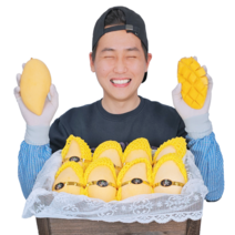 스테비아급 고당도 평균 17Brix이상 태국 남독마이 망고, 5kg / 특대과 / 10~16과, 1개