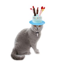 마이카싸 1+1 강아지 생일케이크모자 생일파티용품, 핑크+블루