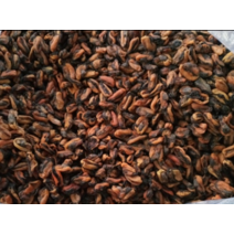 국내산 건홍합 마른홍합 말린홍합 1팩 500g X 2팩 다양한요리(국 찌개 탕 반찬), 2개