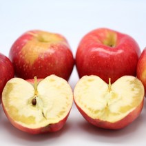 청송 부사 흠집 못난이 가정용 사과 2kg 3kg 5kg 10kg, 한입(13과내)