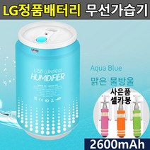 [에프투비] 국산LG배터리채택 휴대용 무선가습기 차량용가습기, 본상품선택, 본상품선택