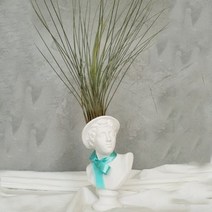 아트박스/모리아트 대만여인 석고상화분 틸란드시아 준세아+모스+리본, 니오베