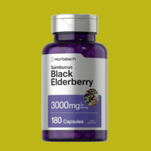 호바흐 삼부커스 블랙 엘더베리 Elderberry 180캡슐, Elderberry 180캡슐 1개