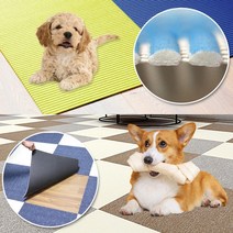 매트 카펫 고양이 미끄럼방지 강아지카페트 슬개골탈구 캣 타워 애견매트 스크래쳐 홈스월드, 25. PVC롤매트 1m 베이지