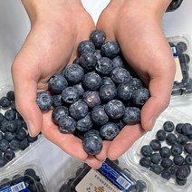 수입 고당도 프리미엄 블루베리 미국 칠레, 수입 블루베리 6팩 (125gX6), 6개