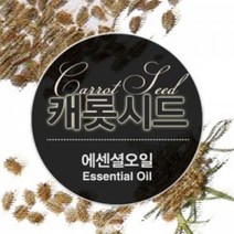 에센셜오일 캐롯시드 Carrot Seed E.O, [ 500ml ]