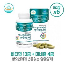 성장기 청소년을 위한 맥스 멀티비타민 앤 미네랄 포틴 90정X6개 대용량 DHA분말 아미노산11종 15종과일채소분말 결명자추출물분말, 본문참고, 본문참고