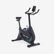 스피닝자전거 실내자전거 718스핀바이크, 없음