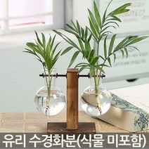 유리 수경화분세트 - 화분 수경화분 유리화분 인테리어화분 병 실내화분 투명화분 식물 유리병 수경재배 책상화분, 02_Sein_스탠드 수경화분(A02)