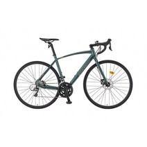 [삼천리자전거] 700C 아팔란치아 R16D 16단 로드 자전거 2023, 로얄 실버, 440
