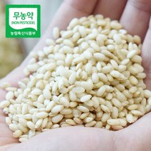 [산지직송] 지리산 청정골 무농약 메뚜기쌀, 무농약쌀(찹쌀)5kg