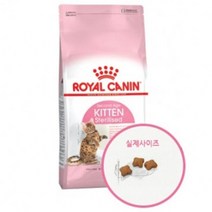 로얄캐닌 키튼 스테럴라이즈드 2kg, 단품, 단품