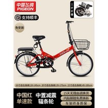 미니벨로 접이식 초경량 삼천리 폴딩 로드 16인치, 22인치, 옵션5