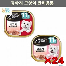 애견습식사료 애완습식사료 소화잘되는 노견용 영양균형캔 24p 진돗개, 닭고기