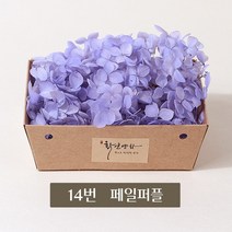 화연양화 블루밍 수국 박스수국 컬러최다 30색! 프리저브드플라워, 14 페일퍼플