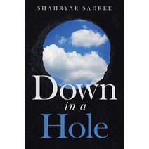 (영문도서) Down in a Hole Paperback, Book Vine Press, English, 9781955885225