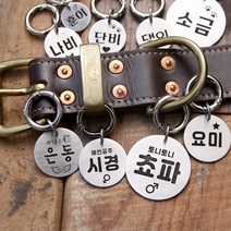 (고리형) 써지컬 펜던트에 귀여운 아이콘과 꾸밈말 등을 깊게 각인하는 강아지 인식표 강아지 이름표, 2.5cm, A