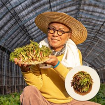 식객 허영만 추천 강원도 봄나물 산지직송 눈개승마 1kg 2kg, 1개