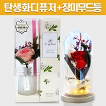 탄생화 디퓨저 선물 세트 6월 탄생화 장미 핑크 + 장미 무드등 남자친구 여자친구 남사친 여사친 선생님 직장동료 생일 집들이 결혼 선물 실내 디퓨저 실내 방향제 디퓨져, 라일락, 레드, 500ml
