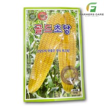 파머스케어 골드초당옥수수 50립 - 옥수수씨앗 종자 생식용 초당 옥수수 단옥수수 노랑옥수수 KS종묘, 1개