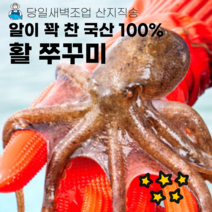 이브수산 당일조업 산지직송 국산 알이 꽊찬 활 쭈꾸미 1kg 2kg, 활쭈꾸미1kg, 1개