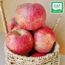 [송아농장] 밀양얼음골사과 GAP인증 산지직송 5KG/10KG, 10kg 32과