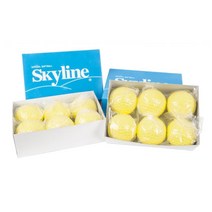 스카이라인 야구 피칭머신 공12개입 야구연습기 야구용볼 야구부 사회인야구 훈련볼 야구공 학교스포츠클럽, 1개, 없음