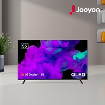 LG IPS 패널 중소기업 55인치 QLED 구글 스마트 TV 넷플릭스 유튜브 에너지효율 1등급 스탠드 벽걸이 방문설치, 스탠드형 방문설치