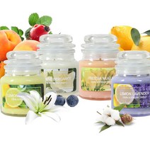 화장실방향제 소이 11종 실내방향제 차량방향제 향수공방 아로마캔들 워머 석고방향제 90g 무드등만들기 향초, 쿠팡2 시트로넬라, 쿠팡2 본상품선택