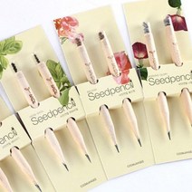 몽당 씨앗 연필 (2개입)_재미있는 심기 가드닝 식물 용 미니 화분, 누리마켓 바질