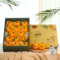 지장샘농장 제주 한라봉 가정용 선물세트 2kg 3kg 5kg 10kg, 한라봉 선물세트 5kg+5kg