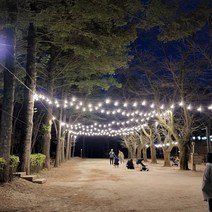 파티라이트 스트링라이트 루프탑 캠핑 까페 펜션용 감성조명 무드조명 11M 10구, 파티라이트 11M10구, BLACK