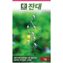 다농 적하수오 30립 - 씨 씨앗 적하수오씨앗 적하수오씨 하수오 무독 나물씨앗 민속채소 채소씨 채소씨앗 붉은조롱, 27_다농_잔대(1g)