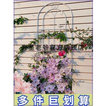 정원 가든아치 단독주택 꾸미기 클레 마티스 포도 나무 프레임 장미 심기 울타리 야외 꽃 지원 막대 철 식물, [01] 검은색, [04] 큰 폭 50CM 높이 220CM