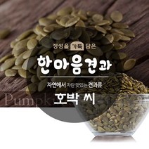 호박씨 370g 건강선식 슈퍼푸드 견과류 반찬재료, 단품