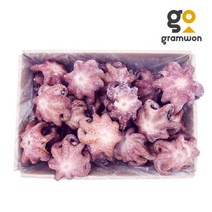 박스 자숙 통문어 200300 8kg 벌크 자숙문어, 박스 자숙통문어 200/300 8kg 벌크