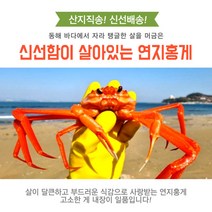 포항 대게 맛집 붉은 홍게 (영덕 울진 포항 연지 박달 3kg), 4.(프리미엄)홍게2kg찜(3~4마리)