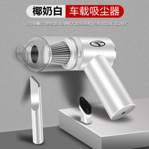 청소기거치대 청소기거치대 동남 DX3스마트폰 차량용 전용 지지대 A5댄스 DX5DX7DX3차량내부장식품 개조 개세트 장식용품, T17-차량용 청소기(화이트색)