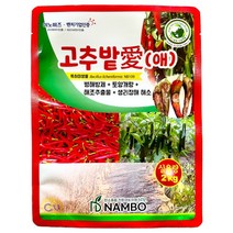 고추밭에 2kg 고추 역병 시들음병 탄저병 잘록병 잿빛곰팡이병 벼 잎도열병 토양개량 남보