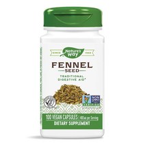 네이처스 웨이 펜넬 씨드 480 mg 100 베지캡슐, 4병, 100정