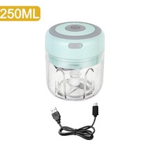 식품교반충진기 미니 전기 마늘 다지기 100/250mL USB 충전 생강 고추 야채 주방 도구, 03 green 250ml
