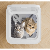 펫드라이룸 붐펫 강아지 고양이 소형 건조기 반려동물, 반려동물 건조함 + 스마트 피더
