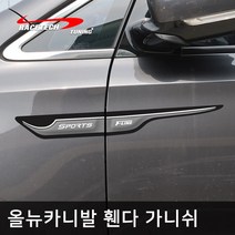 레이스텍 올뉴카니발 스타일리쉬 3D입체 휀다 가니쉬