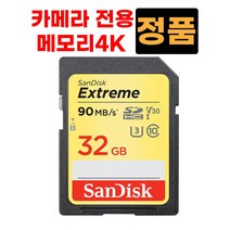 파나소닉 루믹스 DMC-LX10?DMC-LX100 32GB 4K