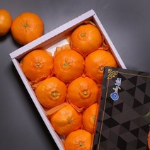 [온도씨]제주 레드향 선물세트 4.5kg 소과 20-26과내외