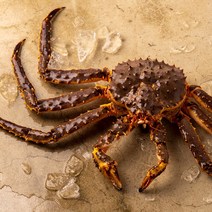 활 킹크랩 블루 3kg (2.9~3.1kg) Live King Crab