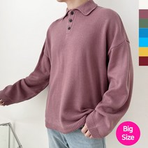 와이키키 남자 빅사이즈 카라 단추니트