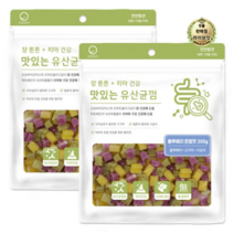 라이브잇 굿데이 맛있는 유산균껌 강아지 간식, 18개, 300g, 블루베리혼합