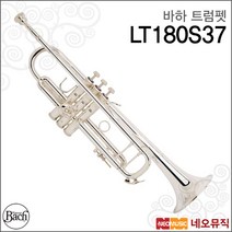 [바하트럼펫] Bach Trumpet LT180S37 Stradivarius Bb 실버/트럼팻/바흐/전문가용 [한국정품], 바하 LT180S37