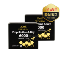 하이웰 프리미엄 프로폴리스 원어데이 6000mg 120베지캡슐 2개 고함량 플라보노이드 뉴질랜드, 뉴질랜드 프로폴리스 치약